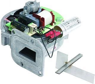 Rational 8720.1418 Rg100 Blower for Burner, Cpc-Li