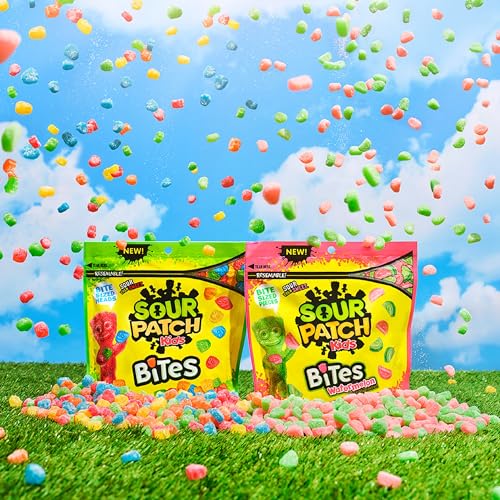 Sour Patch Kids Sour / 12 Ounce (Pack of 2) / Multicolor Sour Candy