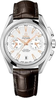 Omega Seamaster Aqua Terra Steel Men's Watch w/Brown Crocodile Leather Strap 231.13.43.52.02.001