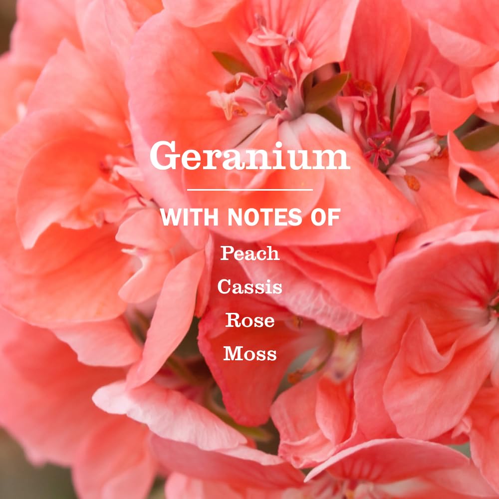 Mrs. MEYER'S Geranium / 12.5 Fl Oz (Pack of 1) / Red Hand Wash