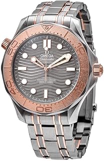Omega Seamaster Automatic Grey Dial Men's Watch 210.60.42.20.99.001