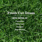 Mrs. MEYER'S Fresh Cut Grass / 44.5 Fl Oz (Pack of 1) / 1 Dish Soap