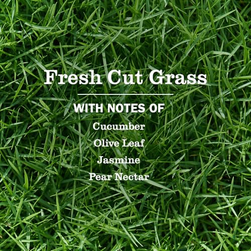Mrs. MEYER'S Fresh Cut Grass / 44.5 Fl Oz (Pack of 1) / 1 Dish Soap