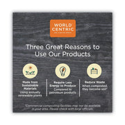World Centric 6" Compostable Soup Spoons - Wrapped - Case of 750 - Made from TPLA Compostable Plastic - SO-PS-I – Product Details