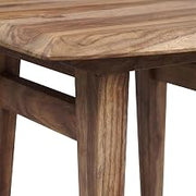 Starlight Canyon Home Solid Sheesham Wood End Table, Mid-Century Modern Accent Side Table for Living Room, Bedroom, and Office