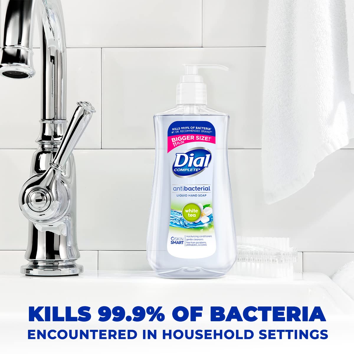 Dial 11 Fl Oz (Pack of 2) / ابيض / 1 Hand Wash