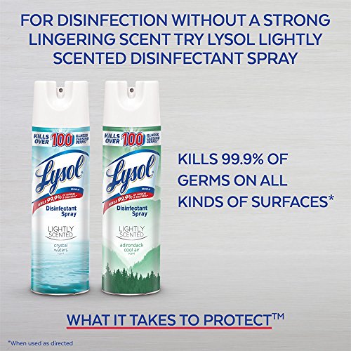 Lysol Spring Waterfall / 12.5 Ounce (Pack of 12) / 12 Disinfectant Sprays & Liquids