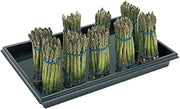 Expressly Hubert Rectangular Black Polyethylene Asparagus Container | 23 1/2 L x 15 1/2 W x 2 1/2 H