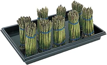 Expressly Hubert Rectangular Black Polyethylene Asparagus Container | 23 1/2 L x 15 1/2 W x 2 1/2 H