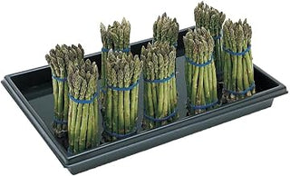 Expressly Hubert Rectangular Black Polyethylene Asparagus Container | 23 1/2 L x 15 1/2 W x 2 1/2 H