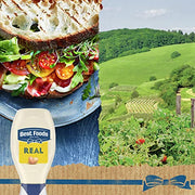 Best Foods 11.5 Fl Oz (Pack of 1) / Original / 1 Mayonnaise