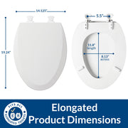 Bemis Ice Gray / Elongated / 1-Pack Elongated Toilet Seats