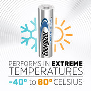 Energizer 10 Count (Pack of 1) / AA / 1 AA