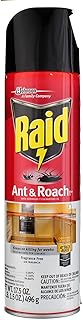 Raid Ant & Roach Killer Aerosol Fragrance Free 17.5 oz. Pack of 4