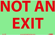 Glo-Brite Not an Exit Sign - Vinyl