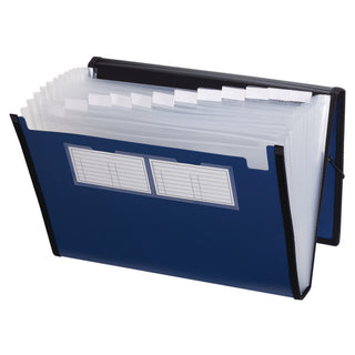® Professional Poly Expanding File by Pendaflex – True, Plastic, Metallic Blue, Model 52674