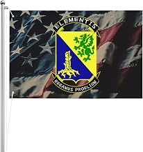 US Chemical Corps Regimental Insignia Double Sided 3 Ply 2x3 FT Flag Thick Polyester Indoor Outdoor70