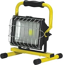 Prolight LED Flood Light, 30W, 120V, Aluminum Alloy