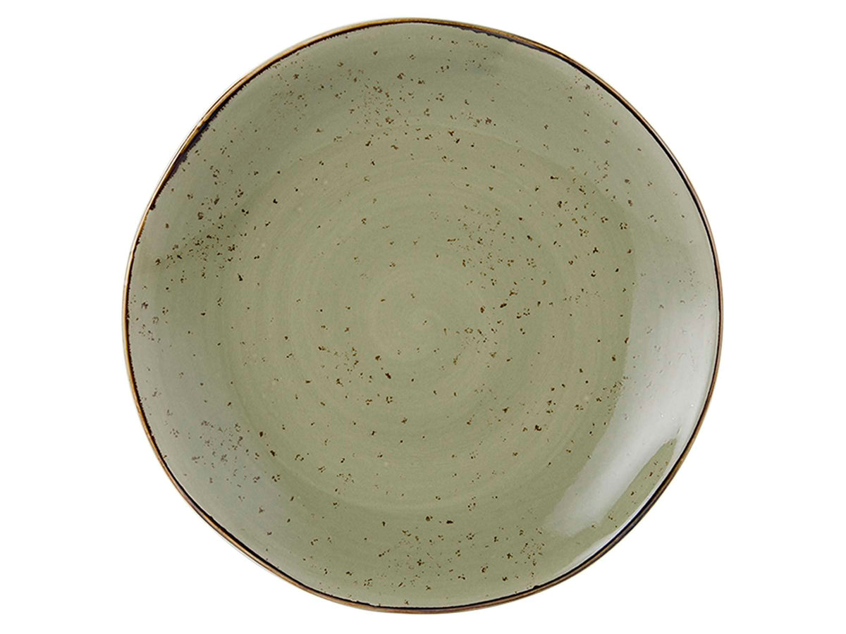 Artisan Geode Geode Olive Reactive Natural 11-5/8-Inch Plate by Tuxton – 11-5/8-Inch, canvas, Geode Olive