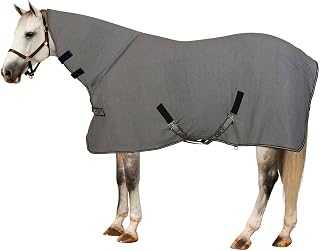 Centaur Turbo-Dry Cooler with Neck Large Horse Gra