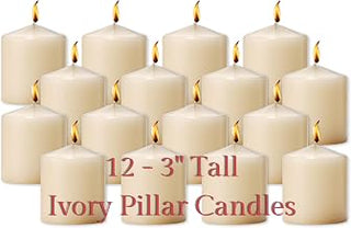Hollowick Select Wax Ivory Solid Wax Pillar Candle 3" Dia x 3" H (12/case)