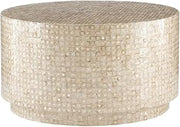 Furnifact Gold Coffee Table with Modern Design, Sturdy Construction, Versatile Living Room Accent, Elegant Finish, Durable Material