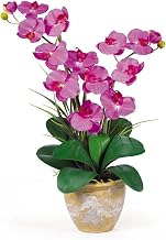 Double Stem Phalaenopsis Silk Orchid Arrangement