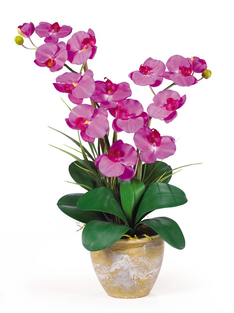 Double Stem Phalaenopsis Silk Orchid Arrangement by Nearly Natural – 29 in x 10.25 in x 10.25 in, Polyester material, plastic, ceramic, Orchid, Model 1026-OR
