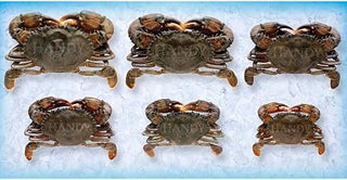 Handy Prime Imported Wild Caught Soft Shell Crab, 2.5 ounce -- 56 per case