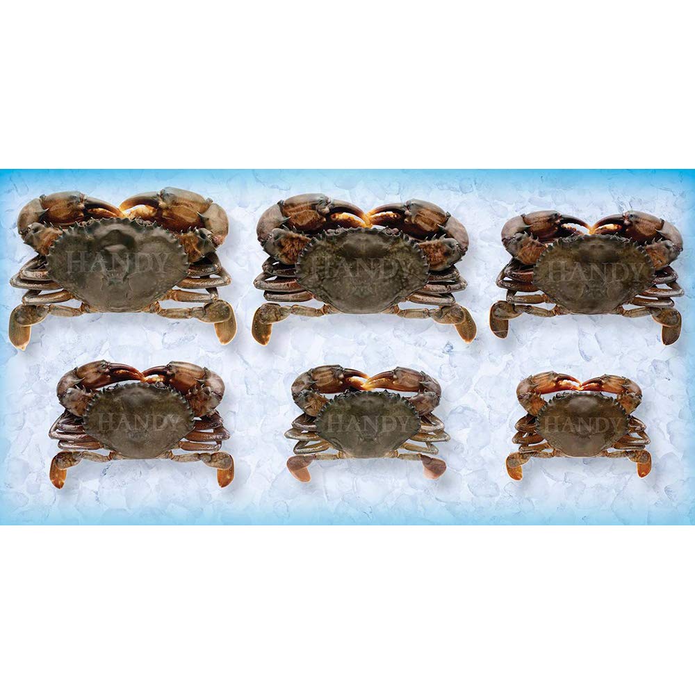 Prime Imported Wild Caught Soft Shell Crab by Handy – Commercial Grade