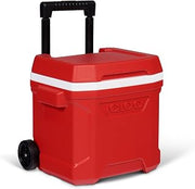 Igloo Passive Kühlbox