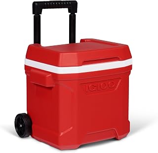Igloo Passive Kühlbox