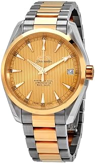 Omega Seamaster Aqua Terra 231.20.39.21.08.001