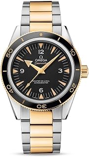 Omega Seamaster 233.20.41.21.01.002