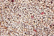 Commodity Beans Triple Clean Pinto Bean, 50 Pound - 1 each