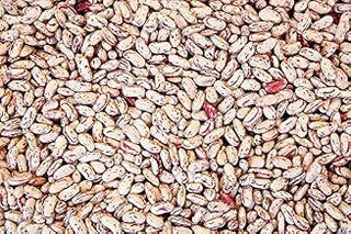 Commodity Beans Triple Clean Pinto Bean, 50 Pound - 1 each
