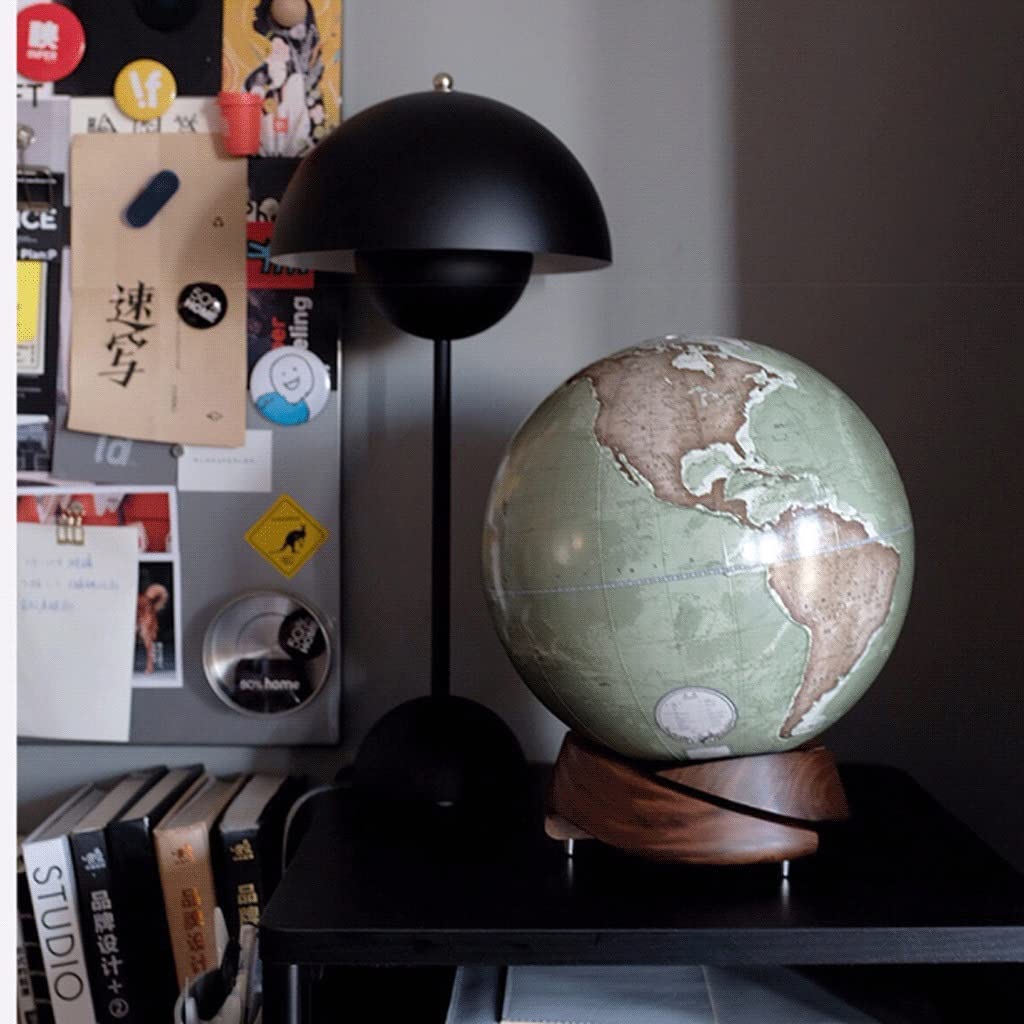 Globe, Cute Elegant Premium Decorative Creative with Black Walnut Base 10 Inch Diameter Clear Text Marking by SYUKMH – One Size, resin, World Globe E, Model VXVVAYCBA
