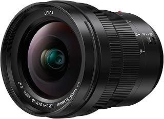 Panasonic LUMIX H-E08018E 18 mm Wide Angle Zoom Leica Lens - Black