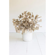 Botanica # by KALALOU – Commercial Grade