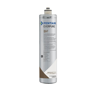 Bh 2 Food Service Water Filter Cart 1Pk by Everpure – 1 Count (Pack of 1), Aluminum, Silver, Model EV961250