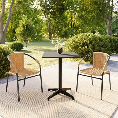 Flash Furniture Beige / Set of 2 / Modern Patio Dining Chairs
