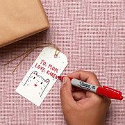 Sharpie 2 Count (Pack of 1) / Red / 1 Permanent Markers
