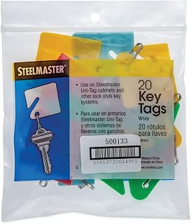 CONTROLTEK Key Tags, Blue/Green/Red/Yellow, 20/Pack, 3 Packs/Carton