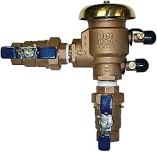 Febco 765 2 in. PVB Backflow Preventer
