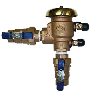 765 2 in. PVB Backflow Preventer by Febco – 2 inches, Bronze, Model FE765-200