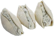 Windsor Bernardi Jumbo Cheese Stuffed Shell, 5 Pound -- 3 per case.