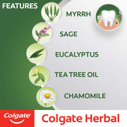 Herbal Toothpaste 7 oz by Colgate – 7 Ounce (Pack of 1), Model 1602104
