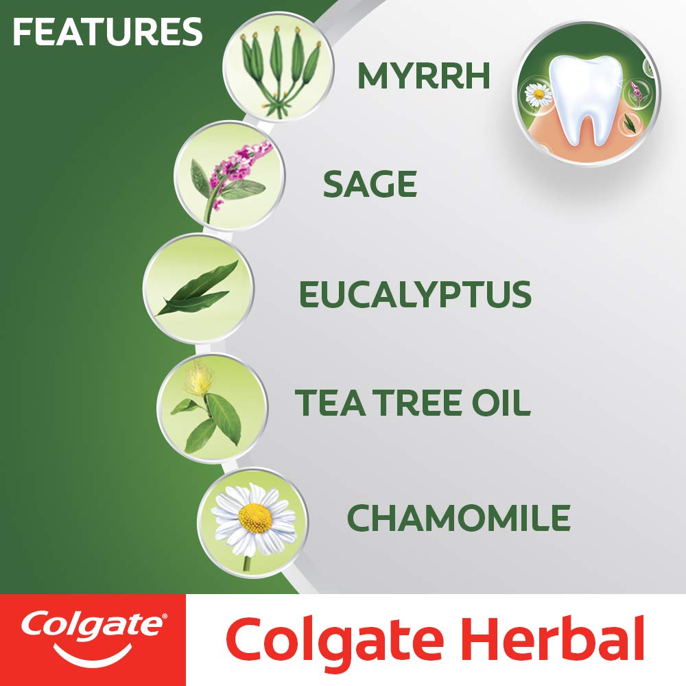 Herbal Toothpaste 7 oz by Colgate – 7 Ounce (Pack of 1), Model 1602104