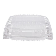 DCCC95PST1 - ClearSeal Plastic Hinged Container
