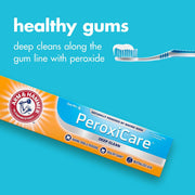 ARM & HAMMER Mint / 6 Ounce (Pack of 1) / 1 Toothpaste